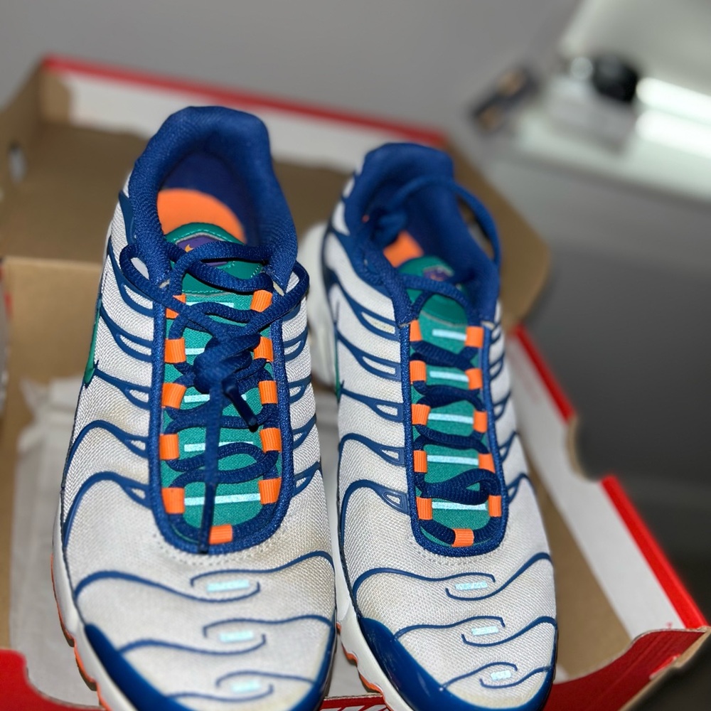 Nike women’s air max plus.